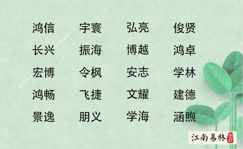 姓贾宝宝，如何给男孩起一个既独特又吉祥的名字？