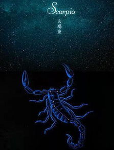 天蝎座的神秘魅力，最容易爱上天蝎座的四大星座揭秘！