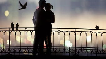 双鱼男命中注定的老婆，究竟是谁？命运之轮将如何转动？