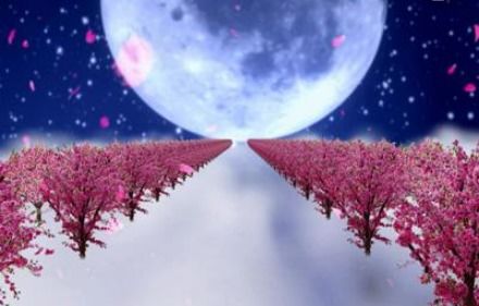 水瓶座近期感情运势，是桃花盛开还是独守空房？