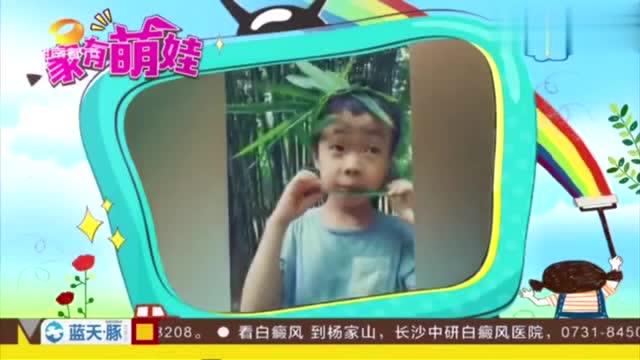家有宝宝抖音号取名，是萌宝乐园还是宝宝趣事？揭秘创意取名攻略！