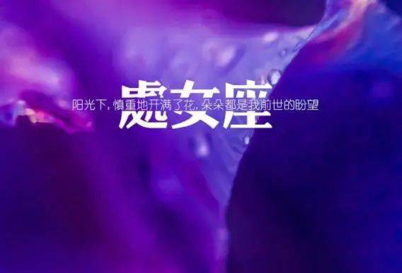 十二星座爱情专一排行大揭秘，哪个星座最忠贞不渝？