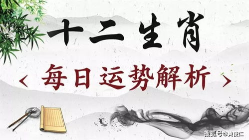 流年感情运势如何解读？揭秘命运与爱情的交织