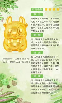 今日生肖运势揭秘，你的财运如何？