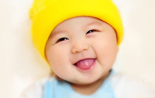 兔宝宝取名，爸姓戴，该如何巧妙融合？