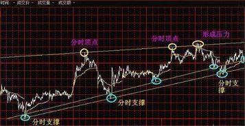 揭秘相似度最高的星座，你不知道的神秘关系！