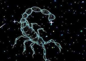 A型血最佳星座搭配揭秘，你与哪个星座最相配？
