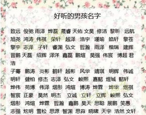 肖姓宝宝取名，如何为男孩取一个既传统又个性的名字？