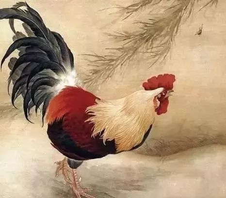 属鸡近期财运运势查询表，揭秘鸡年财运高峰与低谷！