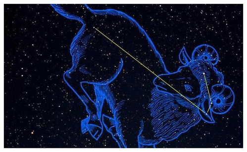 十二星座一生的命运，揭秘命运轨迹中的星座密码