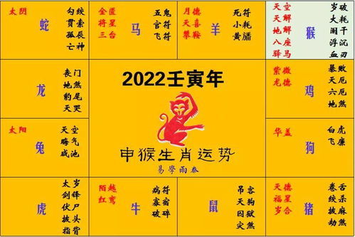 今日观生肖运势大全，你的运势如何？揭秘生肖运势背后的秘密！