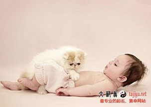 金猴女宝宝取名攻略，如何为可爱的小猴子起一个寓意美好的名字？