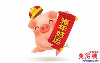 猪宝宝取名姓唐，有哪些吉祥好听的取名建议？