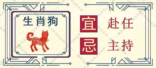 万玲玲今日生肖运势，揭秘生肖运势背后的奥秘，你的运势如何？