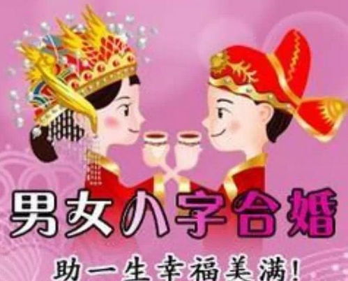男蛇女兔八字合不合婚？揭秘命运与姻缘的奇妙联系