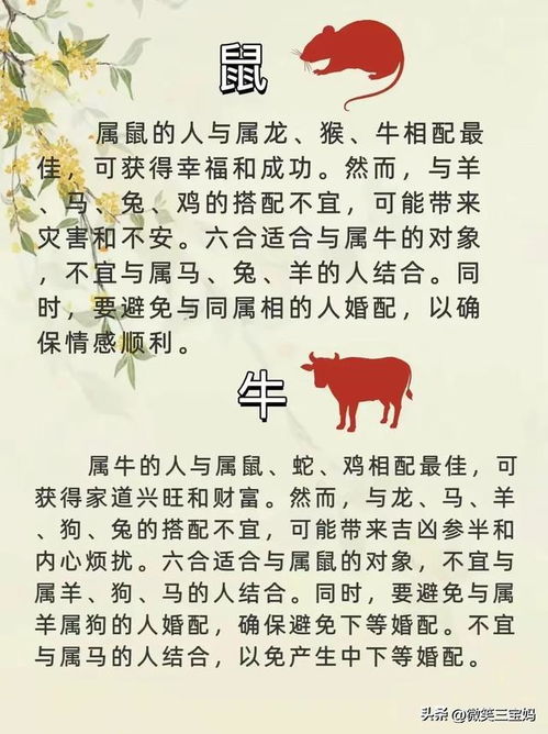 牛跟龙八字合不合婚姻？揭秘八字匹配的奥秘！
