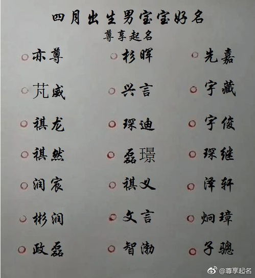 池氏宝宝取名男孩，如何取一个既吉祥又响亮的名字？