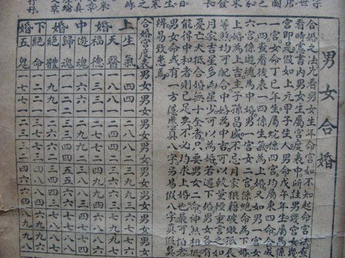 合婚八字帖样板图片下载，你了解其中的奥秘吗？