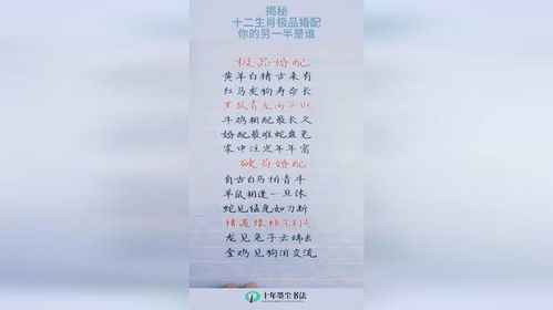 线装书局八字合婚秘典，揭秘古代婚配奥秘，八字合婚真的可信吗？