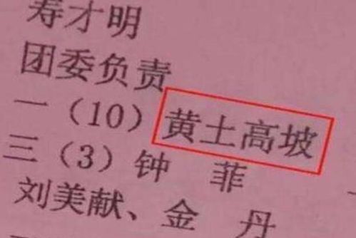 父母都姓王，宝宝取名难题，如何巧妙融合家族姓氏，彰显个性魅力？