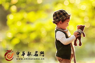 兔年宝宝袁姓取名攻略，如何为兔宝宝取一个吉祥如意的名字？