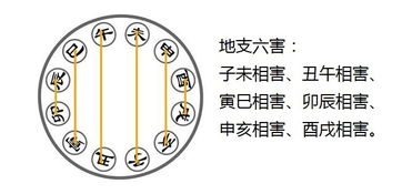 八字合婚中，究竟多少字能勾勒出上等婚姻的轮廓？