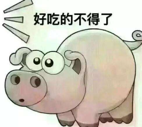 抖音网名猪宝宝如何取一个既可爱又有个性的名字？