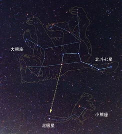 北极星，那颗指引方向的明星，究竟属于哪个星座？