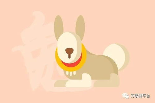 生肖兔，本周感情运势揭秘，你的爱情走向何方？