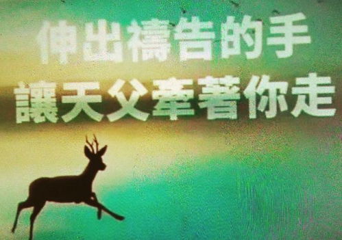 基督徒是否可以接受八字合婚，一场信仰与传统的碰撞？