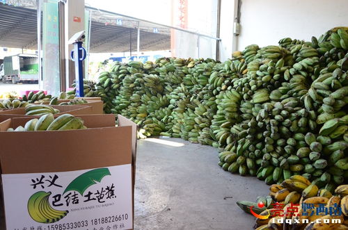 绿植批发市场进货渠道