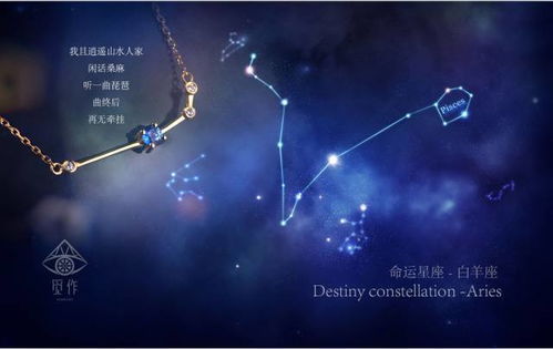 双鱼座今日运势查询新浪，揭秘运势背后的神秘力量！