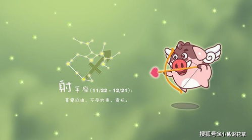 射手六月运势，近期运势大揭秘，射手们准备好了吗？