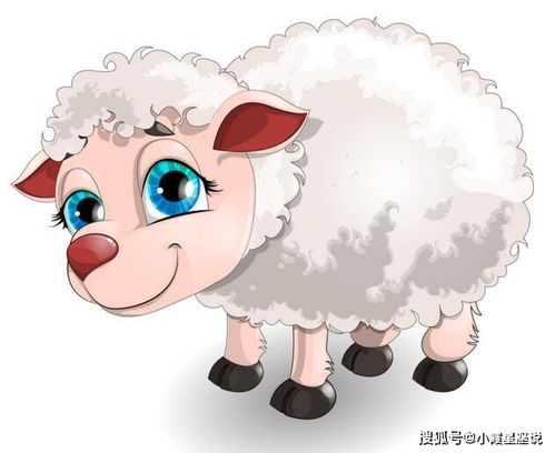 生肖马羊今日运势揭秘，运势起伏，如何把握关键？