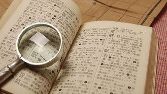 龙女宝宝刘姓取名，如何巧妙结合传统文化与现代审美？