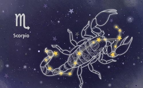 2022年12月双鱼座运势详解，星座运势大揭秘，双鱼座的你准备好了吗？