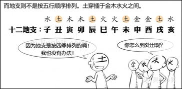 八字合婚动画图片大全，揭秘八字配对背后的神秘面纱