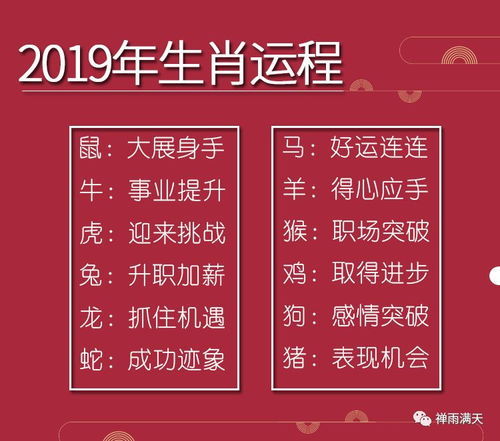 张鑫玉今日运势，运势如何？揭秘今日运势之谜！