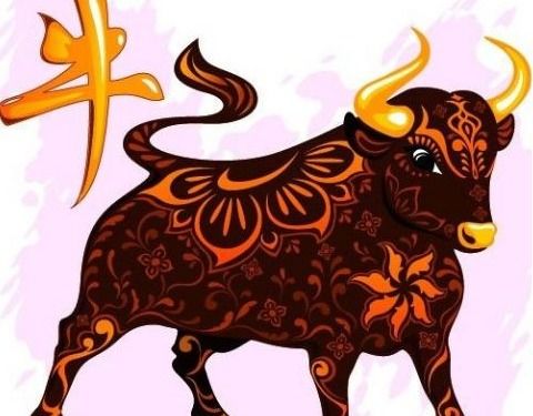 属虎人在龙年感情运势，爱情之路能否腾飞？