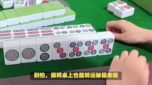 今日麻将最佳生肖运势揭秘，究竟哪个生肖手气最佳？