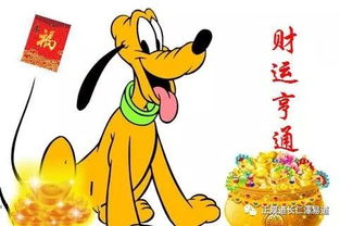 70年属狗近期运势揭秘，运势起伏，如何把握关键期？