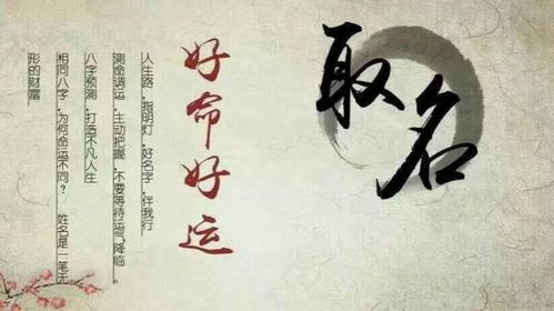 龙宝宝取名，毛姓该如何巧妙搭配？