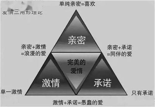 6月运势揭秘，西宁穿搭，你的感情运势如何？