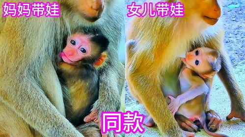 宝宝取名猴女好吗？怎么取一个既吉祥又独特的名字？