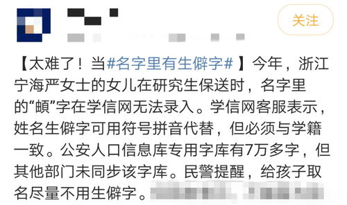 姓薛为兔宝宝取名，究竟该如何抉择？