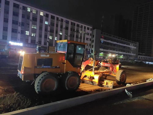 今日生肖运势看什么？揭秘生肖运势预测的五大关键要素