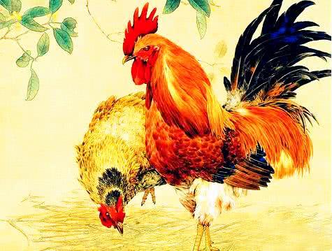 近期69年属鸡人运势如何？揭秘生肖鸡的幸运转折点！