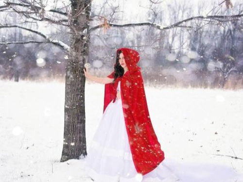 女双子感情运势，是风花雪月还是波折不断？