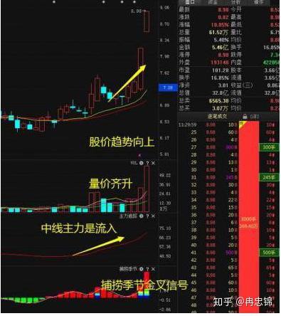 今日泸州老窖股票运势如何？揭秘投资背后的风云变幻