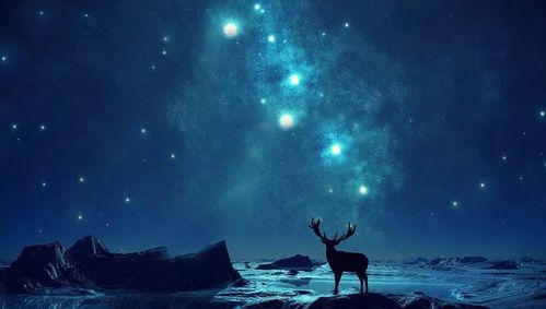 水瓶座女生感情运势，揭秘神秘星象下的爱情轨迹？